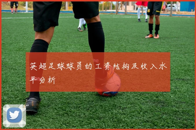 英超足球球员的工资结构及收入水平分析